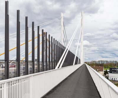 Südseite mit Pylon sowie Fuß- und Radweg der neuen Rheinbrücke Neuenkamp