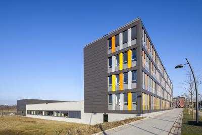 Head Office Raith