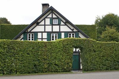 Windschutzhecke vor Bauernhaus in Monschau-Höfen