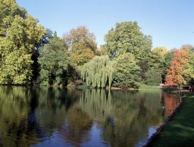 Wasserfläche im Neuen Hofgarten Düsseldorf