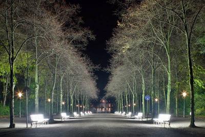 Beleuchtete Lindenallee im Hofgarten Düsseldorf