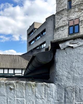 Höhenprofil und formale Ähnlichkeit der Baukörper, Straßenperspektive