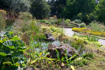Kaltwasserteich im Botanischen Garten