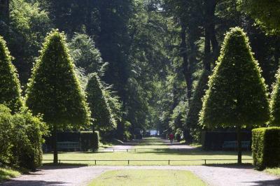 Jagdstern im Schlosspark