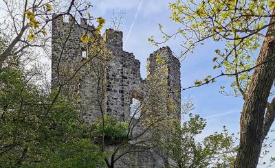 Burgruine Drachenfels