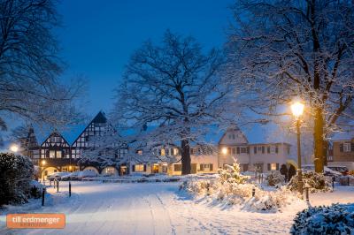 Gartensiedlung Gronauer Wald im Winter, An der Eiche
