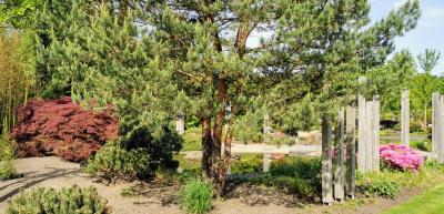 Asia-Schaugarten, Gartenpraxis