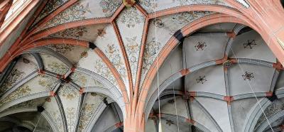Blick ins Gewölbe der Schlosskirche