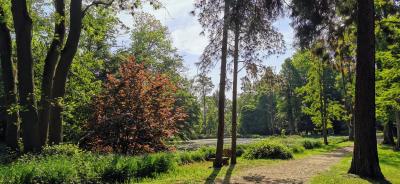 Schlosspark als Landschaftsgarten