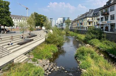 Stufenanlage mit renaturierter Sieg