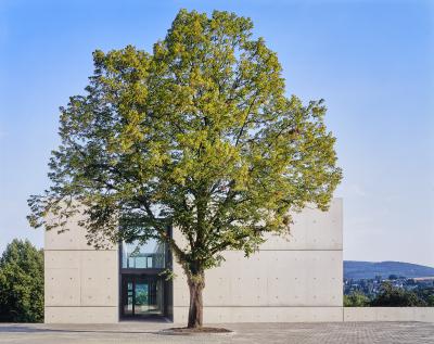 Sichtbetonkuben mit Längsfuge, Haus der Stille