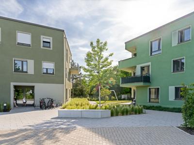 Typenhäuser für Geflüchtete, Vorplatz, polygonale Baukörper