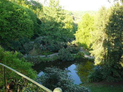 Blick von oben auf den Fischteich