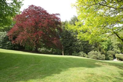 Adolf-Vorwerk-Park in Wuppertal-Barmen