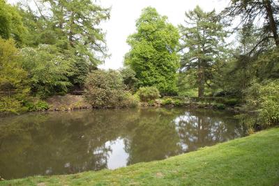 großer Teich im Park