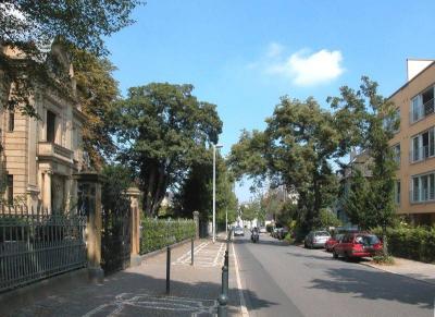 Frontansicht mit Straßeneinsicht