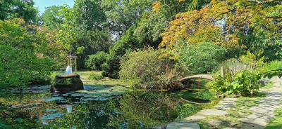 Sommerteich des Japanischen Garten