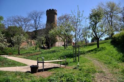Obstwiese bei der LaGa 2014 mit Burg im Hintergrund