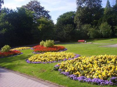 Blumenbeete im Stadtpark