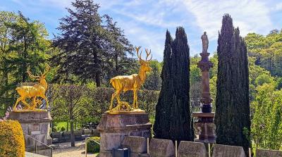 Am Schloss Drachenburg
