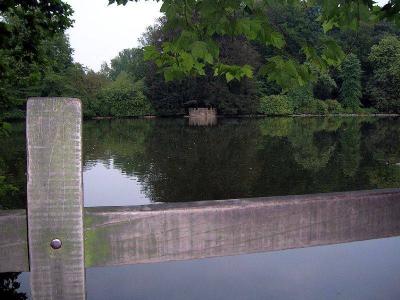 Teich am Hotel Romberg