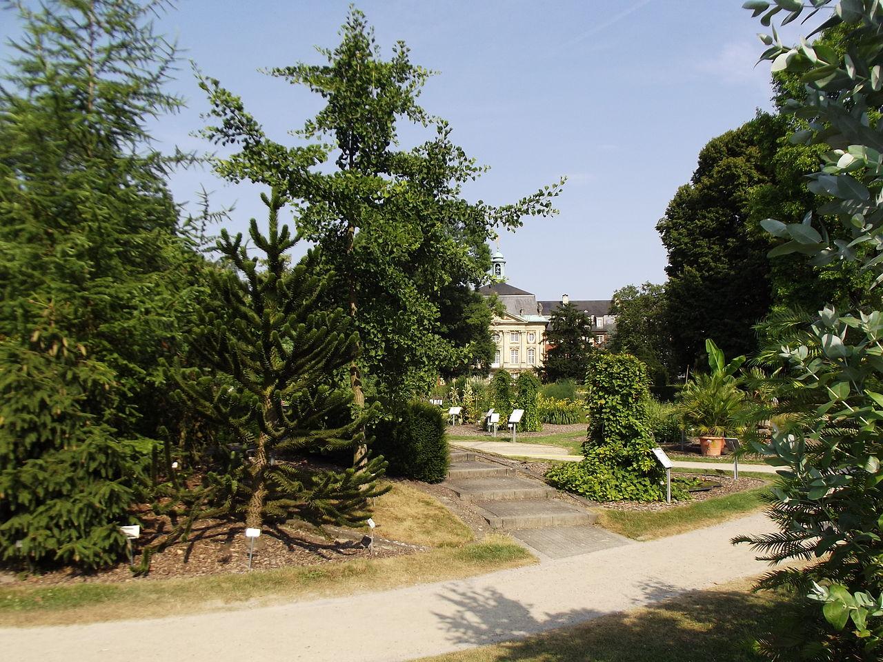 Botanischer Garten mit Schloss im Hintergrund