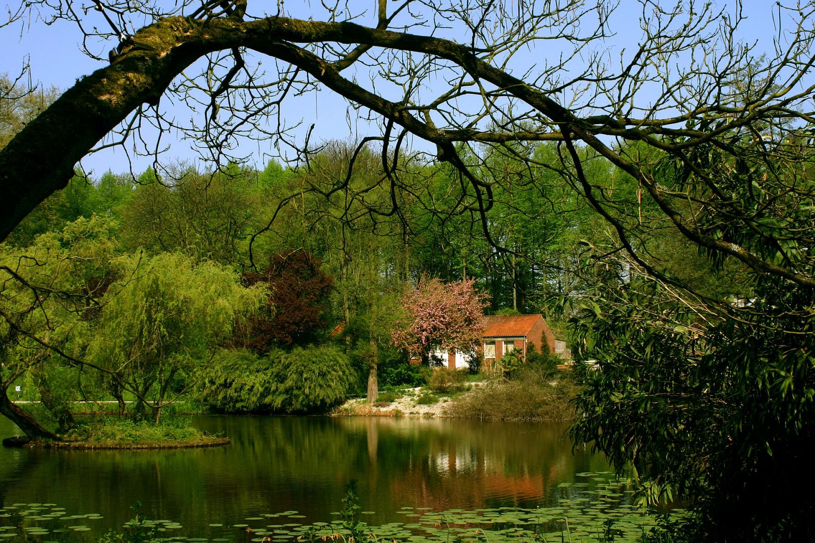 See im Botanischen Garten und Schlossgarten in Münster