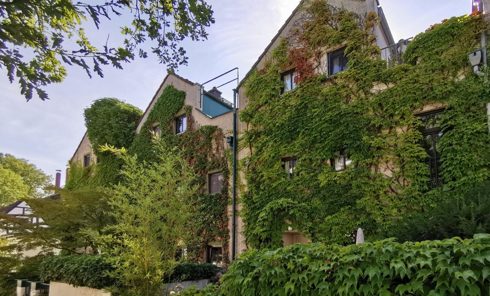 begrünte Reihenhäuser Siedlung Gütergasse