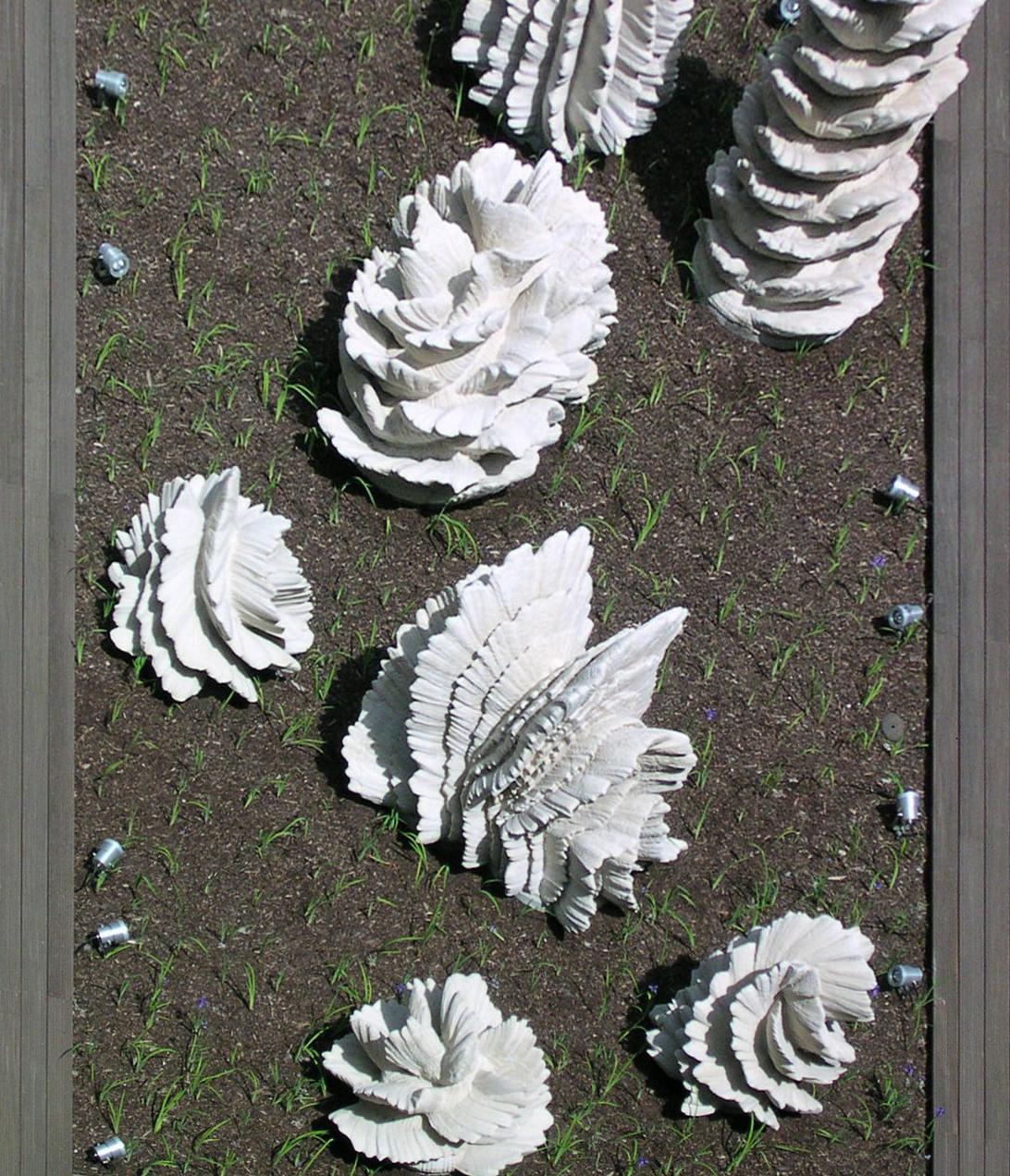 Kunstwerk Impluvium aus der Vogelperspektive