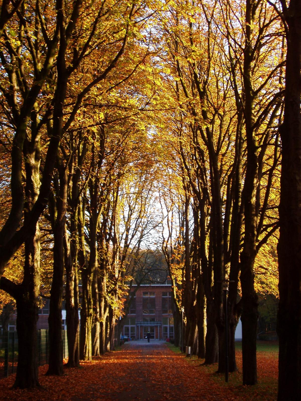 Allee zum Tagungshaus