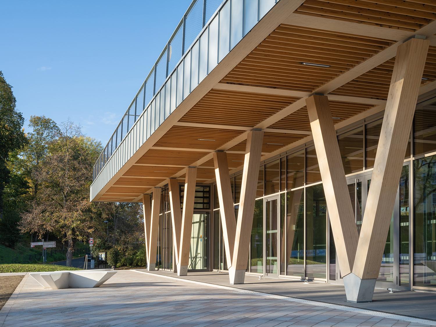 Sport- und Kulturhalle Alfter, Detailbild V-Stützen