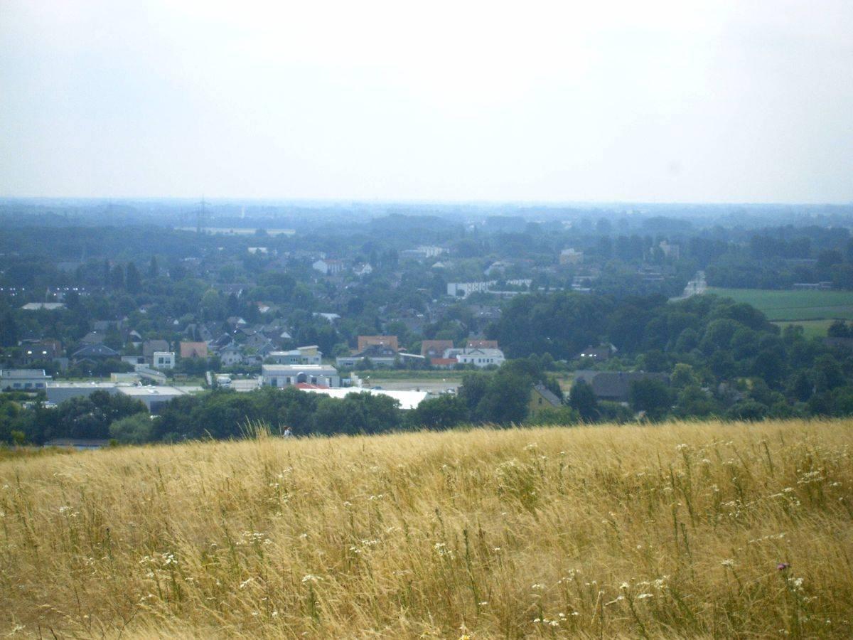 Blick von der Halde auf Neukirchen