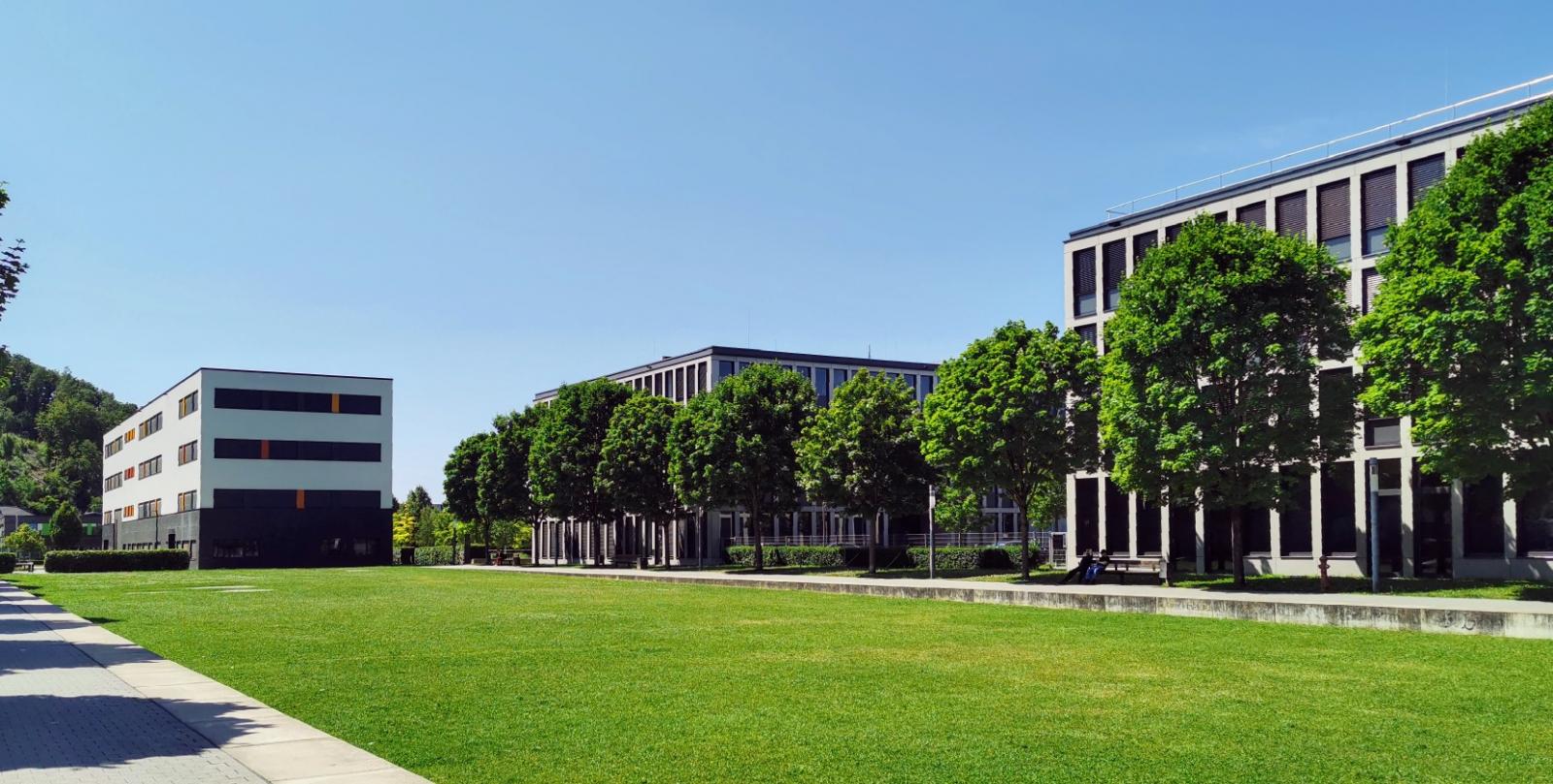 Stadtgarten im Steinmüllergelände