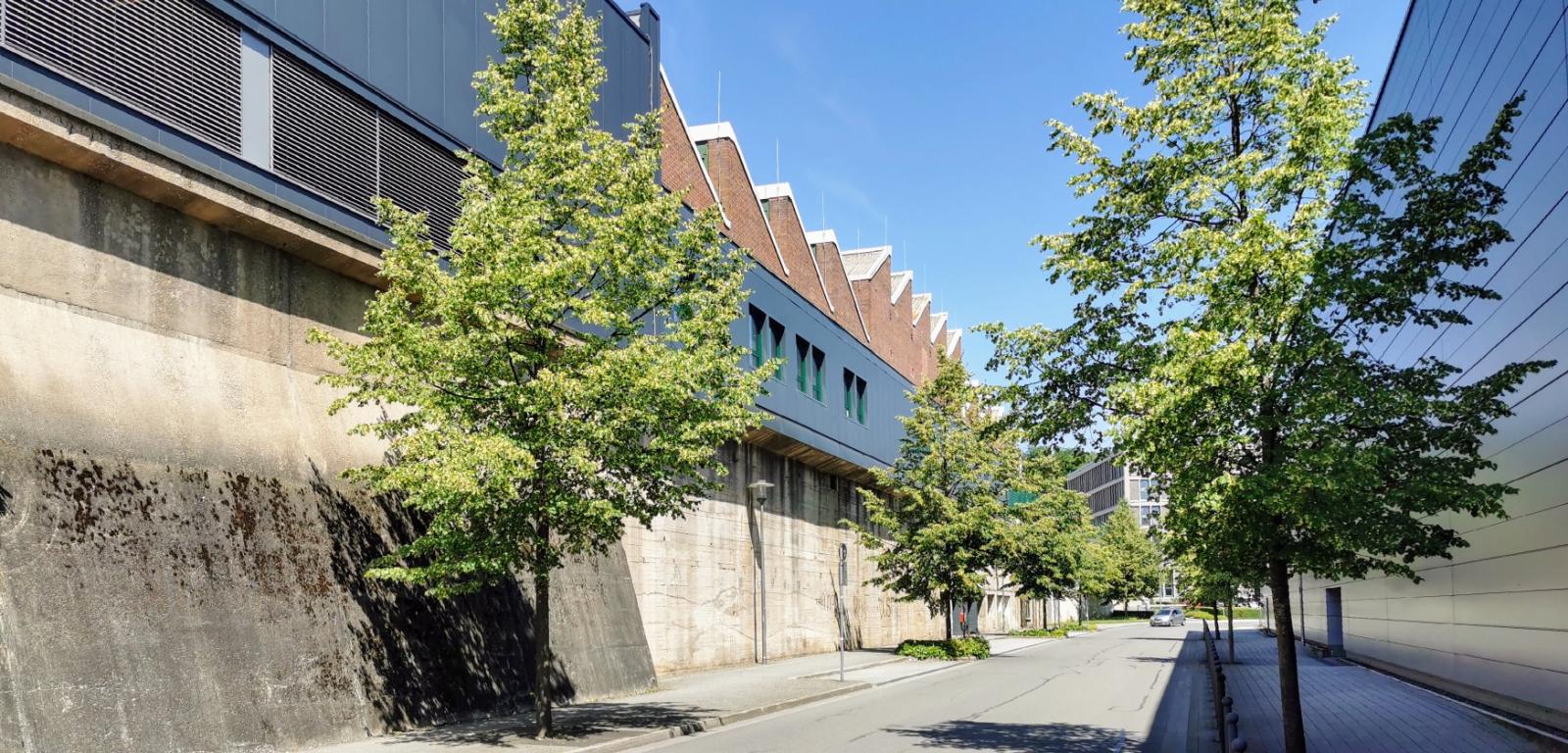 Steinmülleralle zwischen Bildungszentrum und Schwalbe-Arena