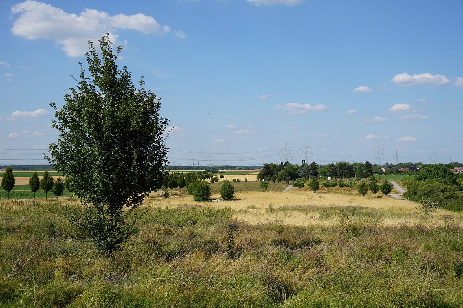Nordpark in Pulheim