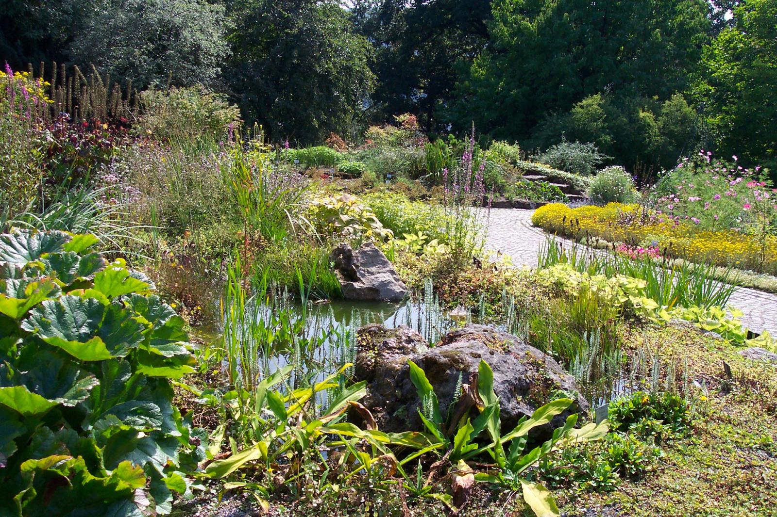 Kaltwasserteich im Botanischen Garten