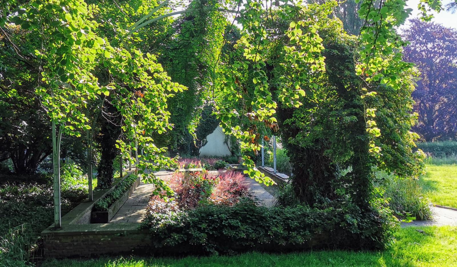 Gewächshaus im Kurpark