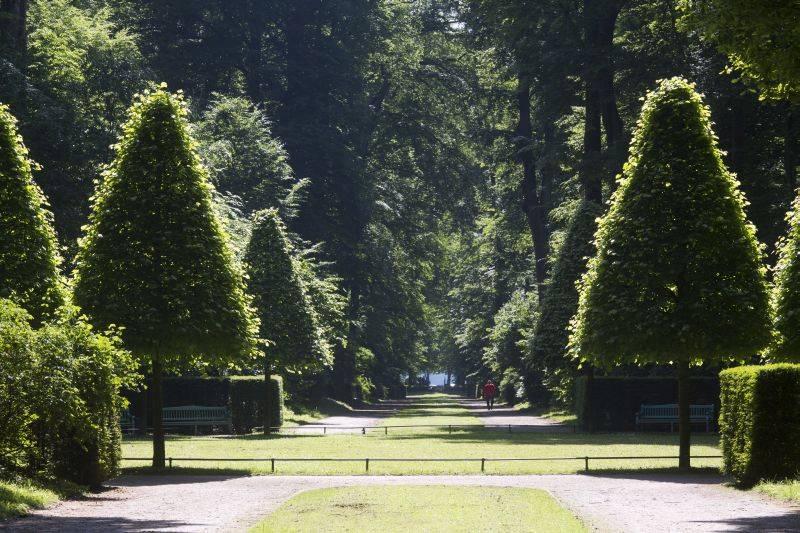 Jagdstern im Schlosspark