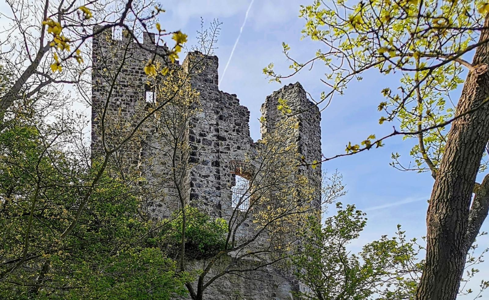 Burgruine Drachenfels