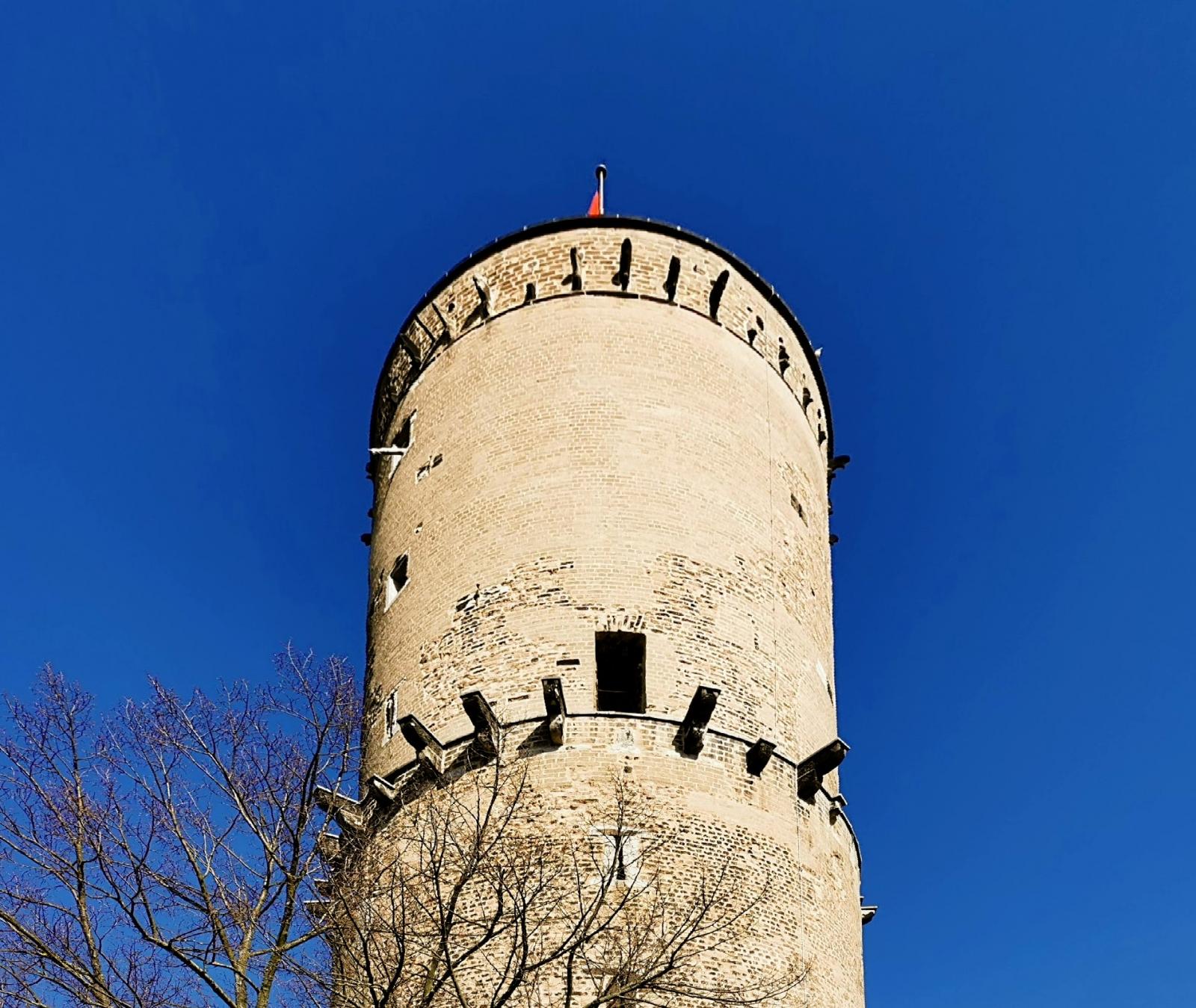Turmansicht Godesburg
