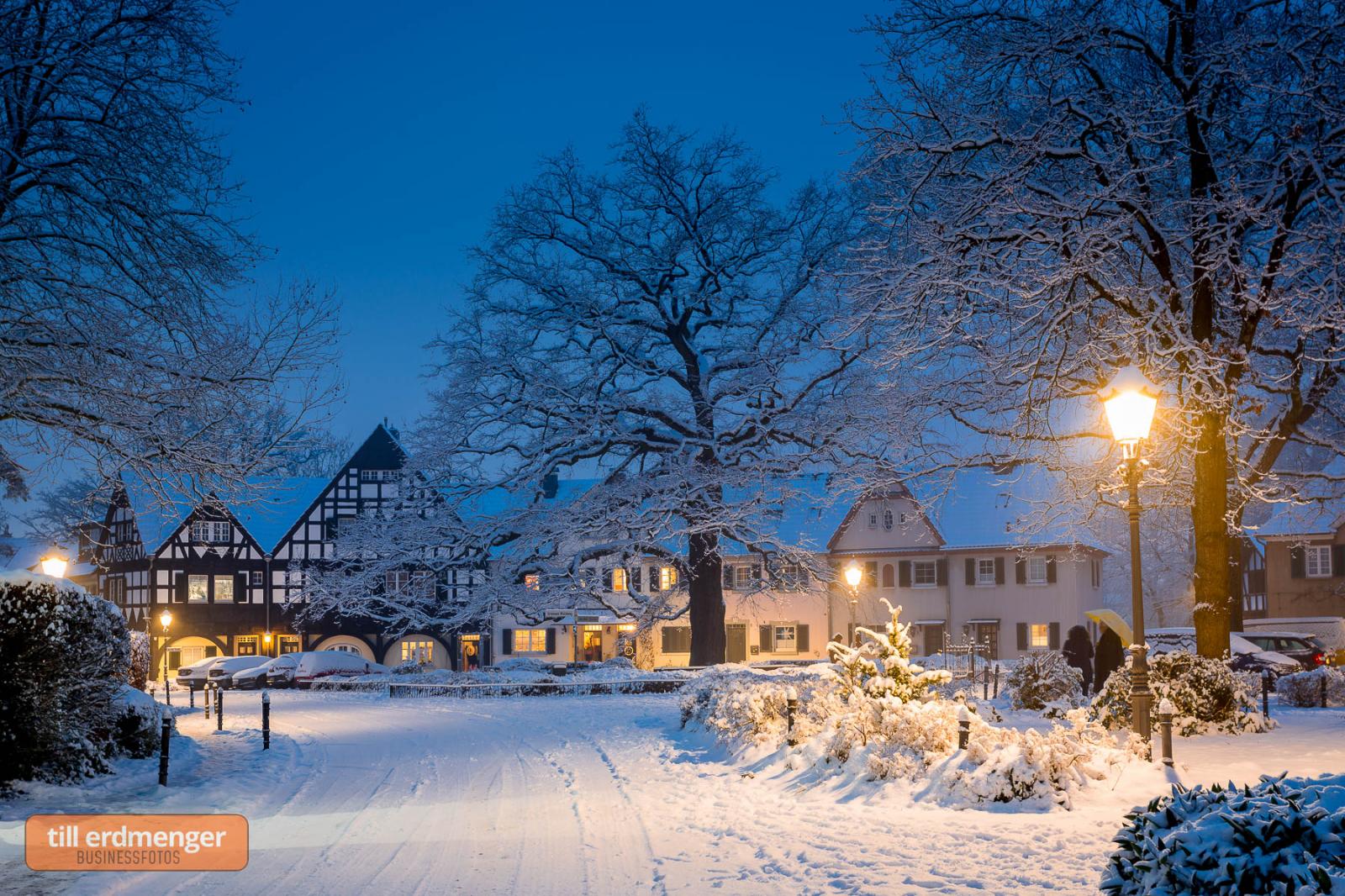 Gartensiedlung Gronauer Wald im Winter, An der Eiche