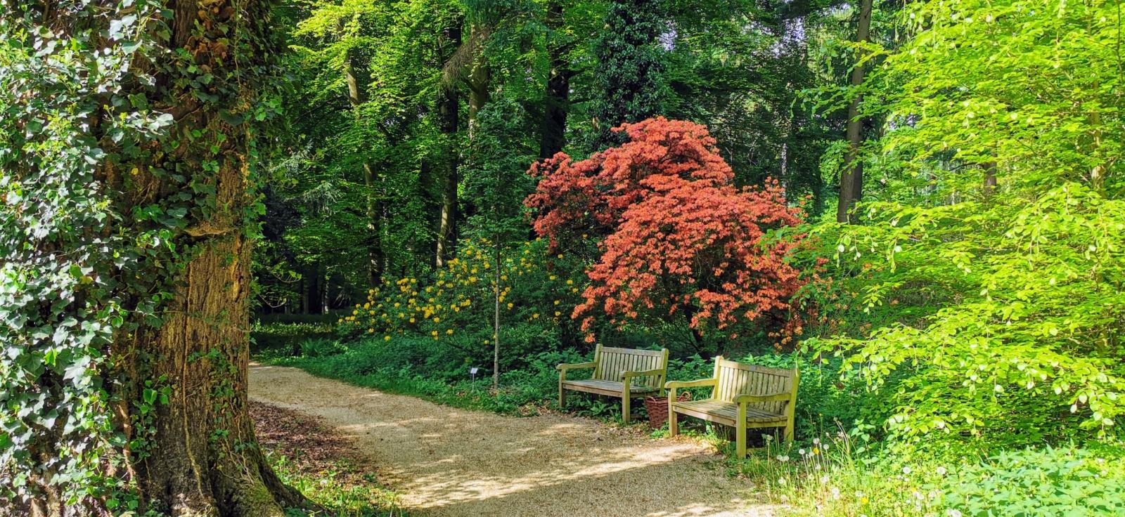 Sitzbänke Landschaftsgarten Schloss Dyck