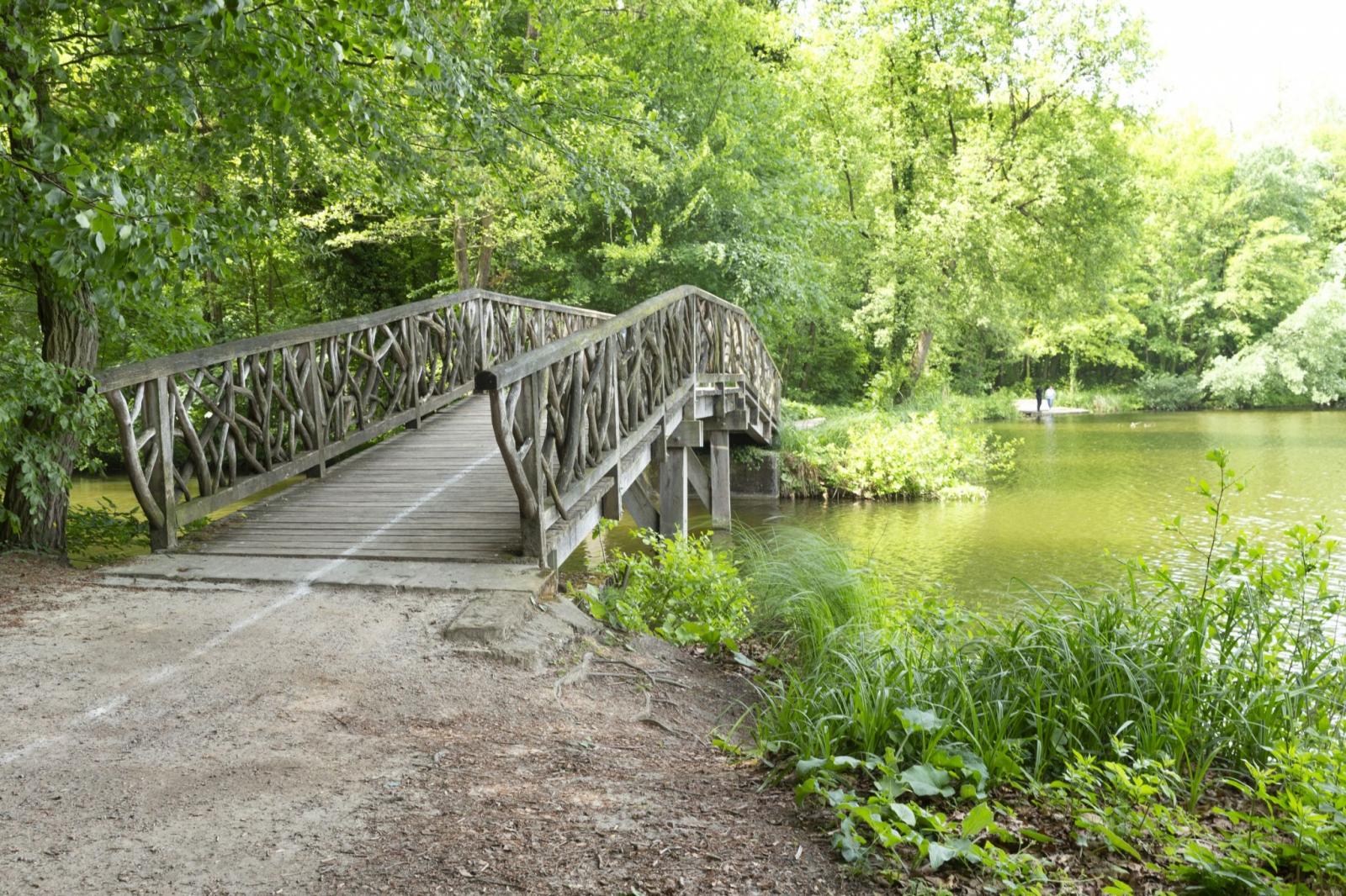 Brücke am Bagnosee