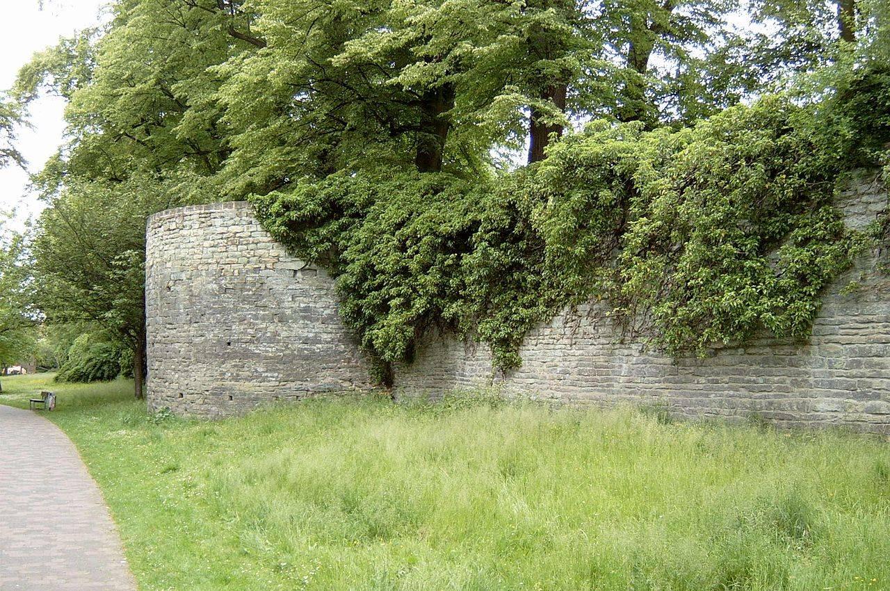 Blick in die Gräfte unterhalb der Stadtmauer (Rundweg)