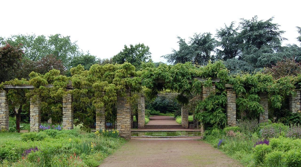 Seerosenteich