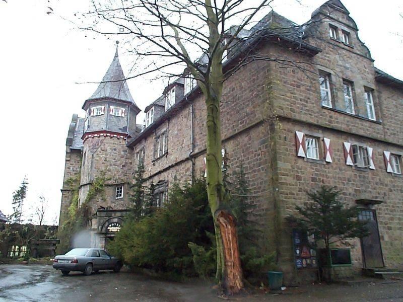 Burg Schwalenberg von Osten