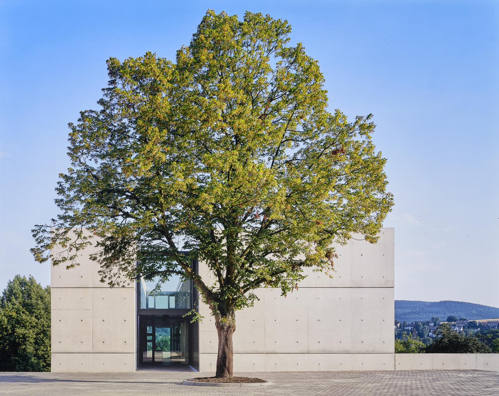 Sichtbetonkuben mit Längsfuge, Haus der Stille