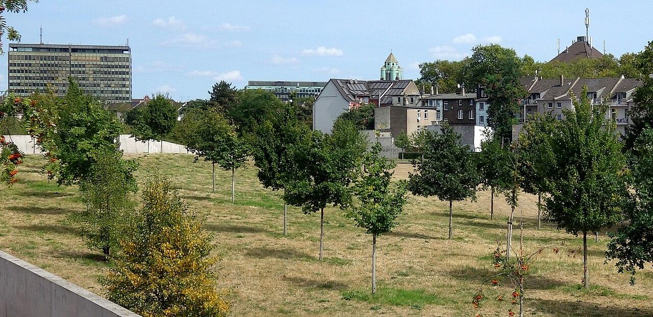 Bepflanzte Wiesenfläche, sanft anteigender Wall mit Einfassung