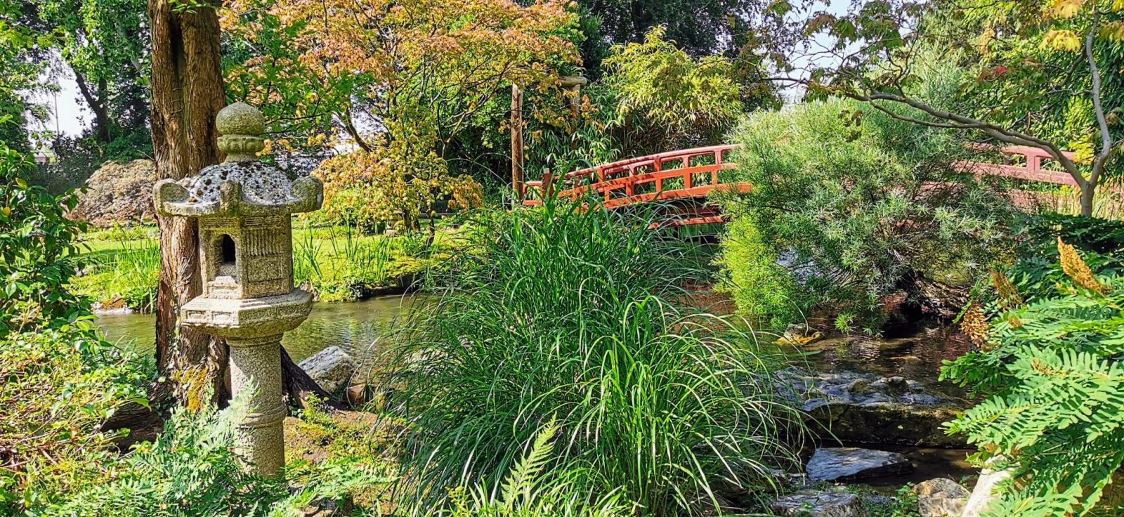 Japanische Brücke im apanischen Garten Leverkusen