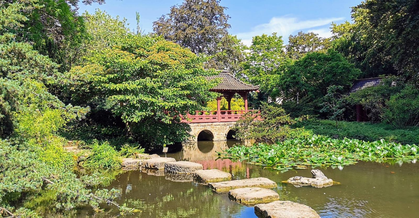 Weg über Trittsteine zur Mikado-Brücke 